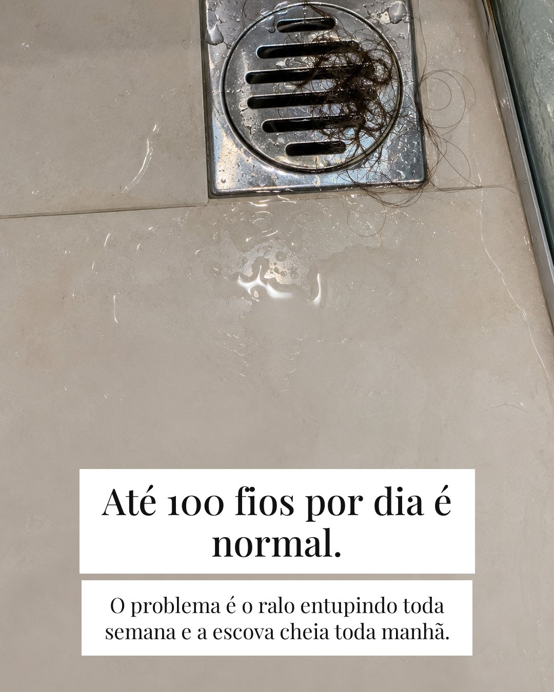 O ralo do banheiro — card 2